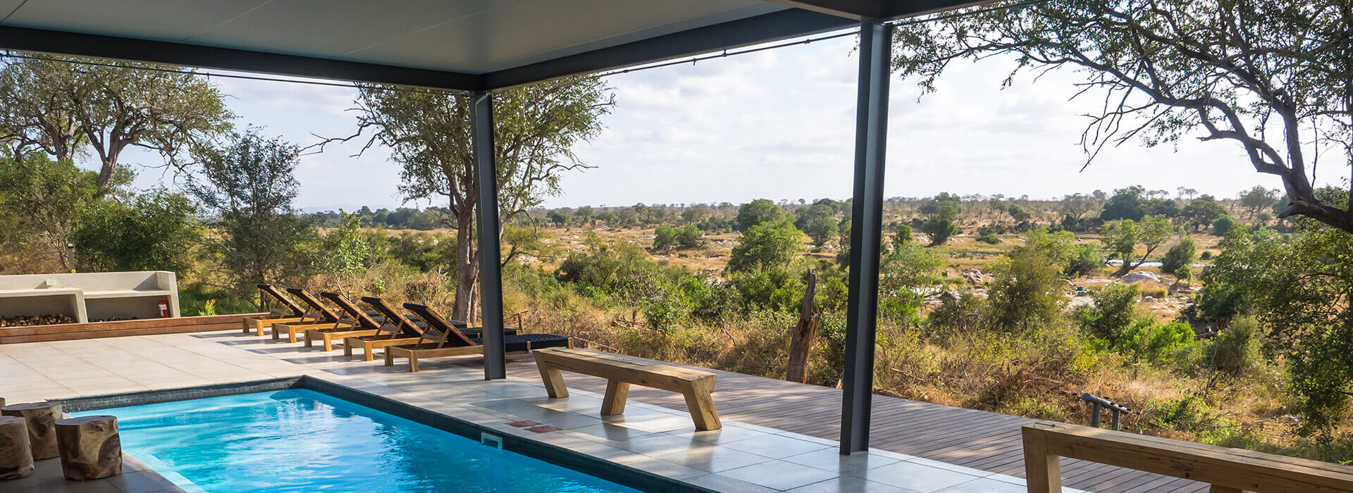 View of the bushveld from the pool